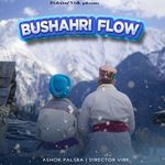 Bushahri Flow - Ashok Palsra Song Download