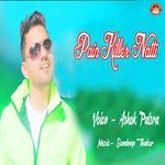 Pain Killer Natti - Ashok Palsra Song Download
